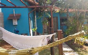 Pavao Azul